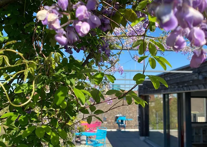 B&B: Josephine'S Guesthouse - Women Only With Rooftop And Community Area